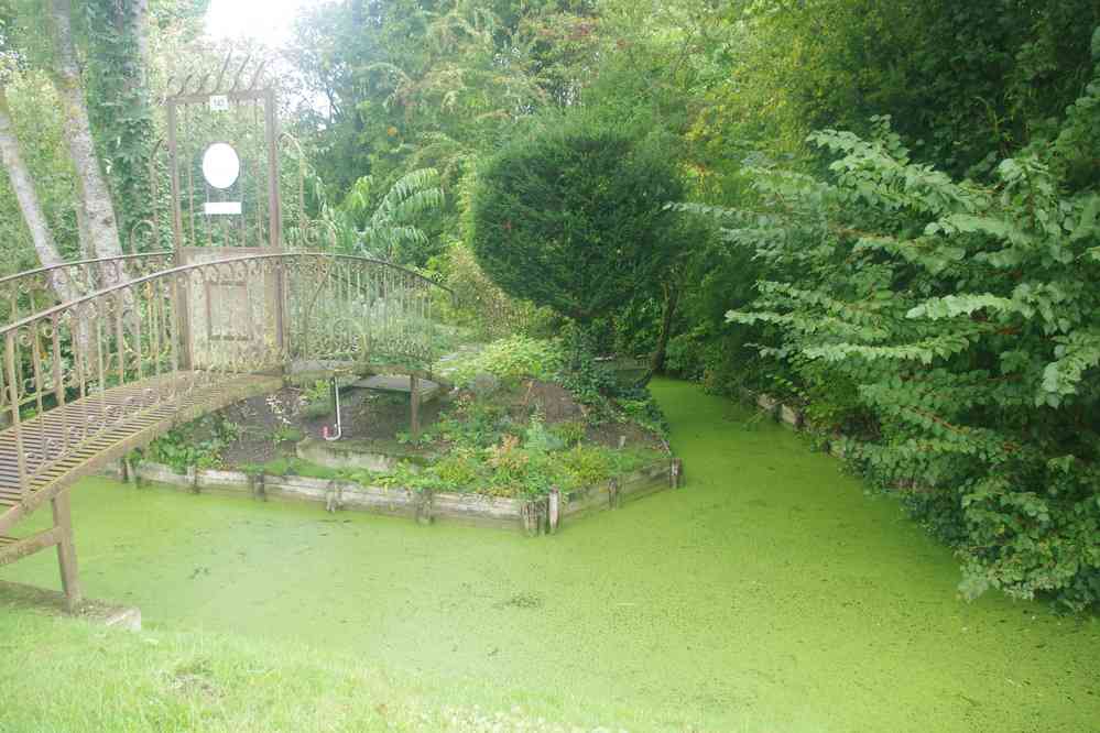 Randonnée le long de la Somme. Nous longeons les hortillonnages. Le dimanche 14 septembre 2025