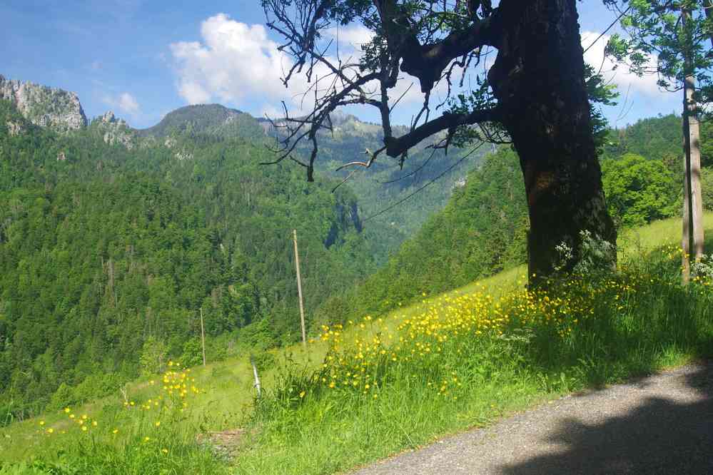 Début de randonnée près de l’arrêt « la Correrie ». Le jeudi 29 mai 2025