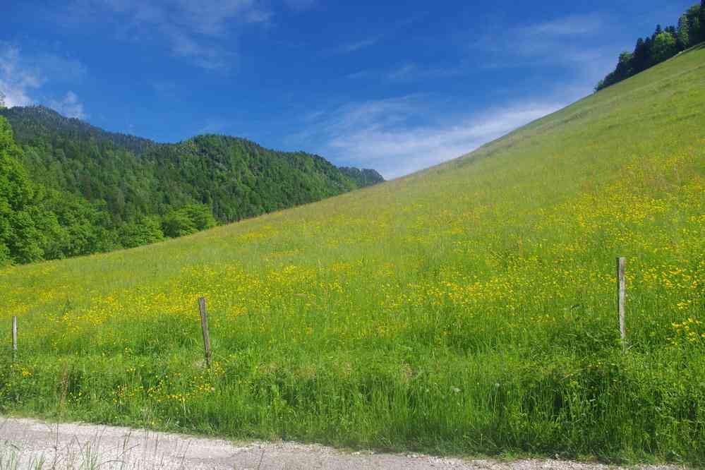 Près de la Correrie. Le jeudi 29 mai 2025