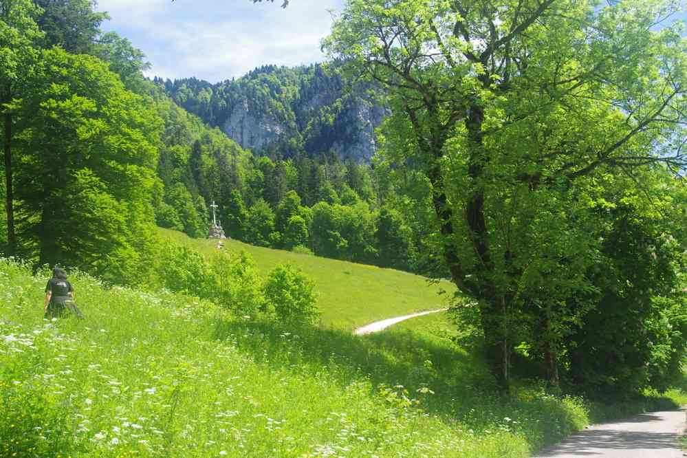 Près du monastère de la Grande Chartreuse. Le jeudi 29 mai 2025
