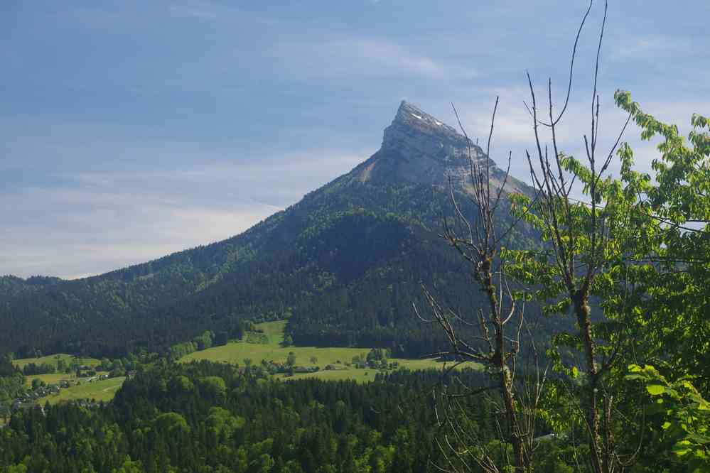 Chamechaude (2082 m) vue depuis la vallée du Couzon. Le jeudi 29 mai 2025