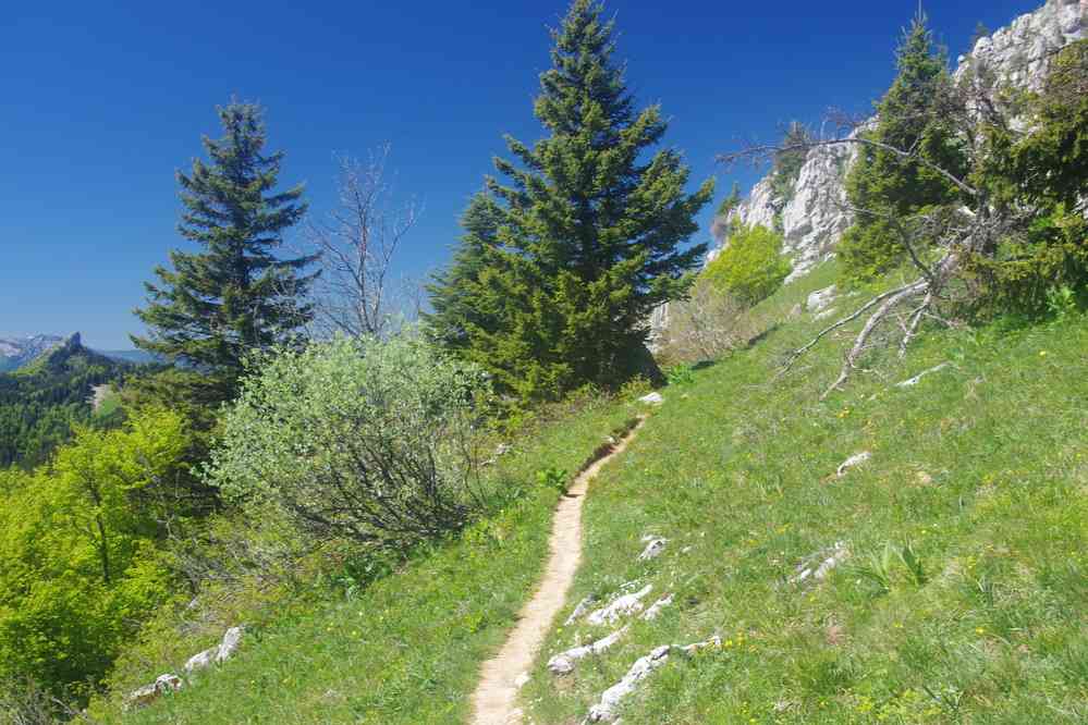 Montée au Charmant Som. Le vendredi 30 mai 2025