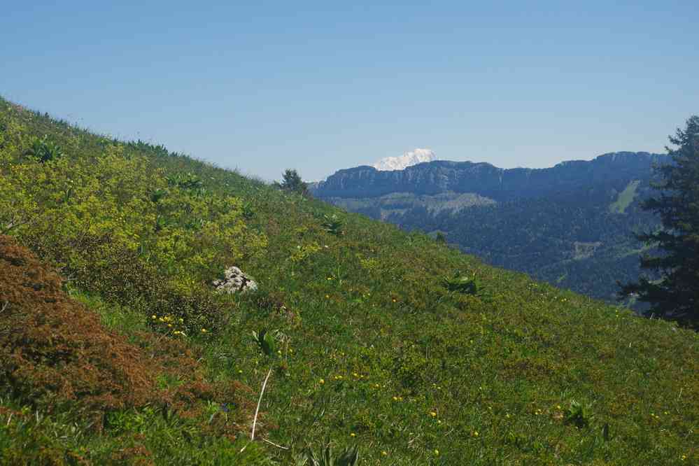 On commence à voir le mont Blanc ! Le vendredi 30 mai 2025