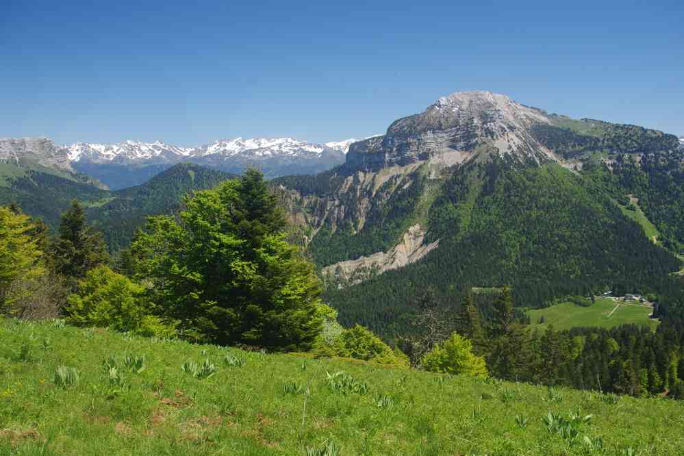 Toujours Chamechaude. Le vendredi 30 mai 2025