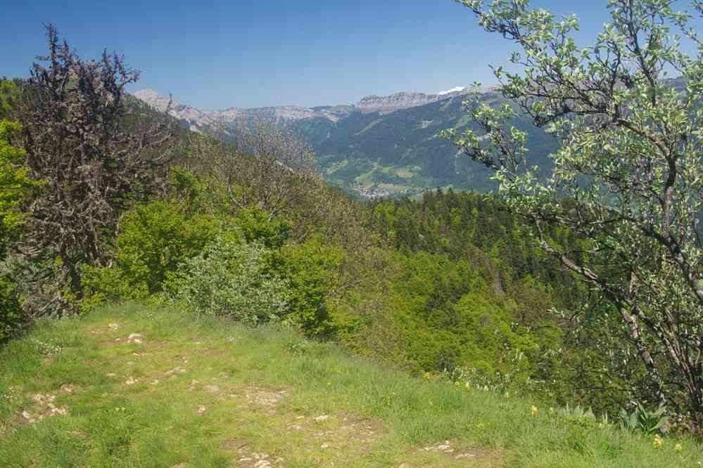 C’est peut-être bien encore le mont Blanc. Le vendredi 30 mai 2025