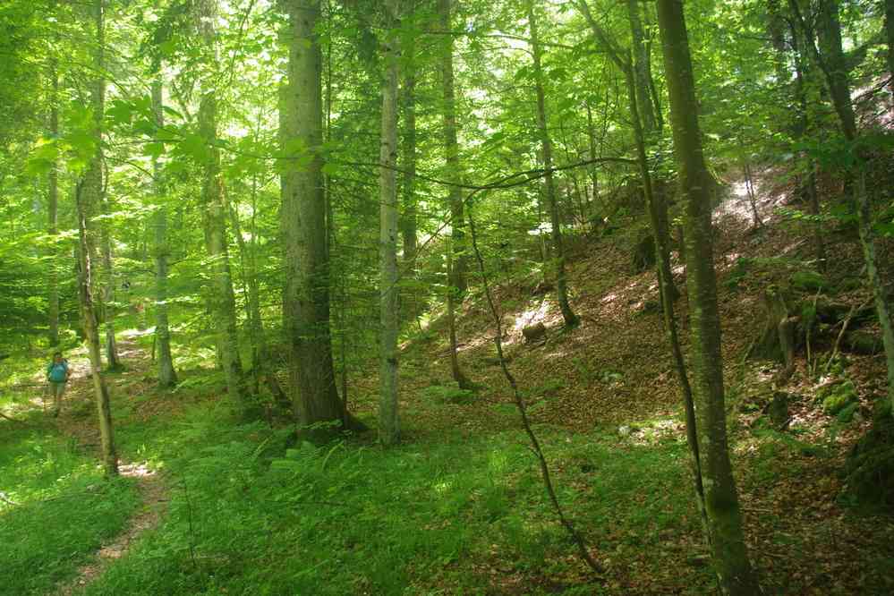 Le tour du Grand Ravin. Le samedi 31 mai 2025