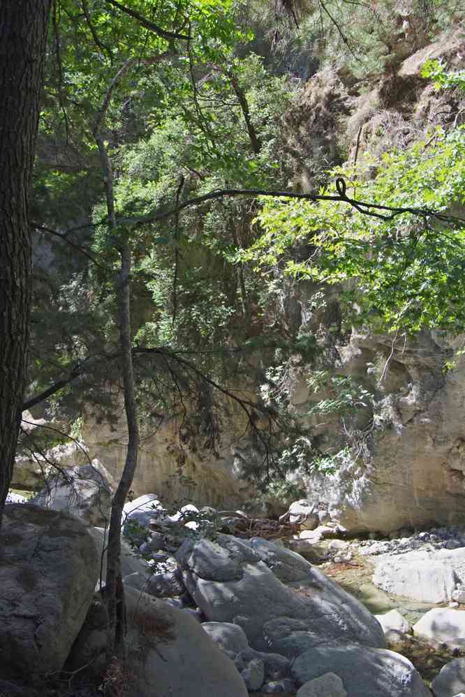 En haut des gorges de Samaria (Φαράγγι Σαμαριάς). Le vendredi 15 août 2014
