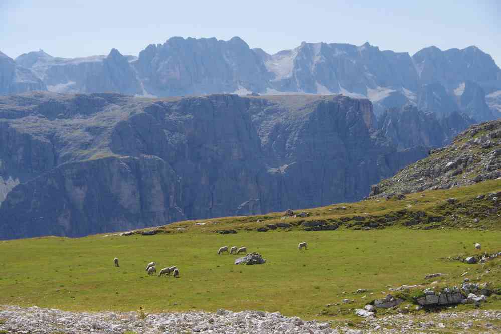 Paysage pastoral. Le mardi 1ᵉʳ septembre 2015