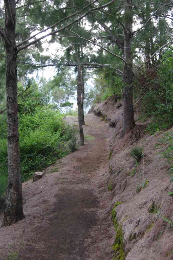 Sentier en direction de Cilaos. Le lundi 4 mai 2015