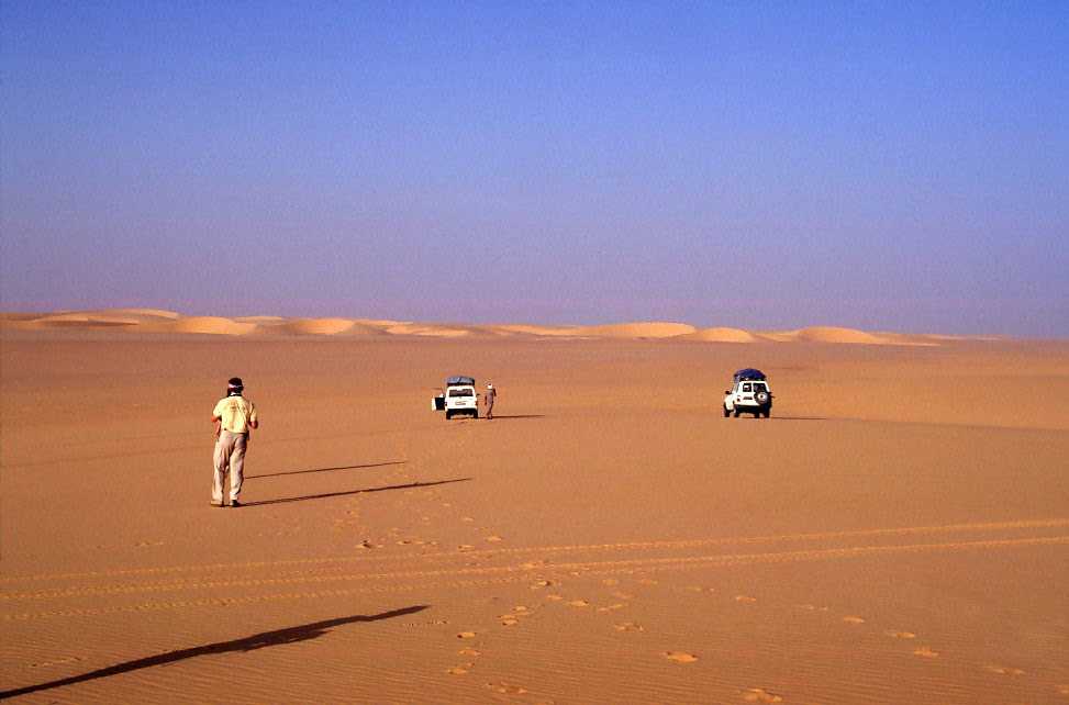 Vue de l’erg du Djourab (9 février 1998)