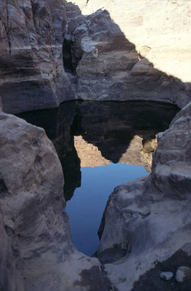 La guelta Mouzri (16 février 1998)