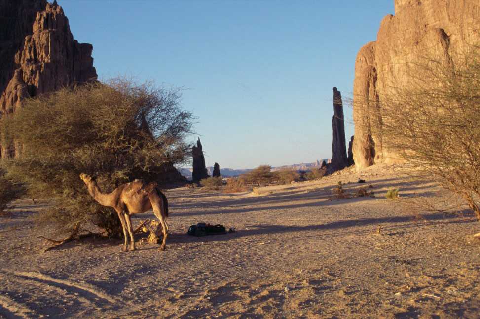 Au bivouac de Tigui Piton, le 15 février 1998