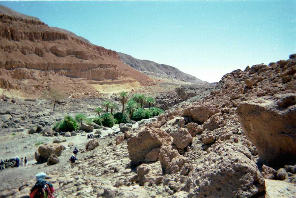 La petite oasis de Yi Yerra (22 février 1998)