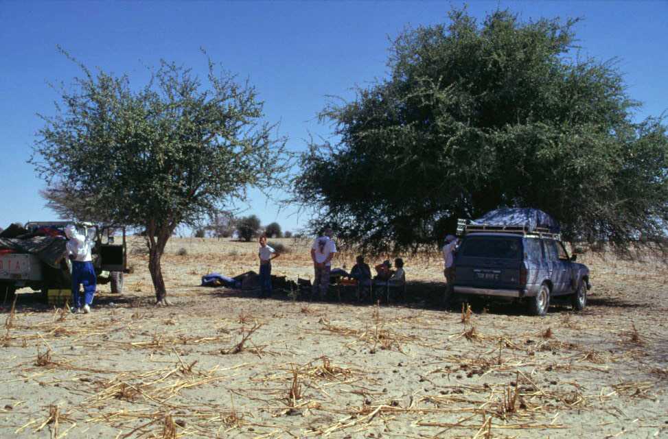 Repas aux environs de Massakory, le 7 février 1998