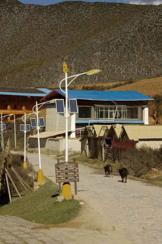 Près du monastère de Song-tsan-lin (Ganden Sumtseling, 松赞林寺, Songzanlin, དགའ་ལྡན་སུམ་རྩེན་གླིང་) à Tchong-tien (中甸县 Zhongdian, སེམས་ཀྱི་ཉི་ཟླ།), le 20 octobre 2010