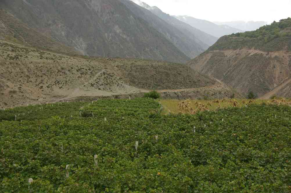 Montée de Simang-t'ong (习芒捅 Ximangtong) à Yong-tsong (永宗 Yongzong), le 22 octobre 2010