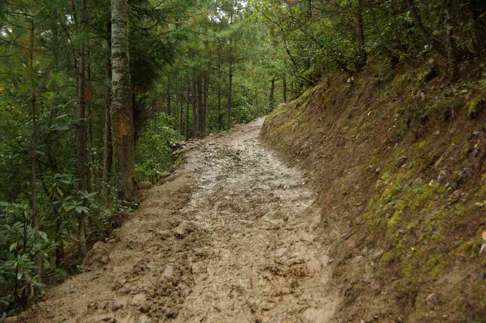 Début boueux du sentier aux 68 poubelles, le 23 octobre 2010