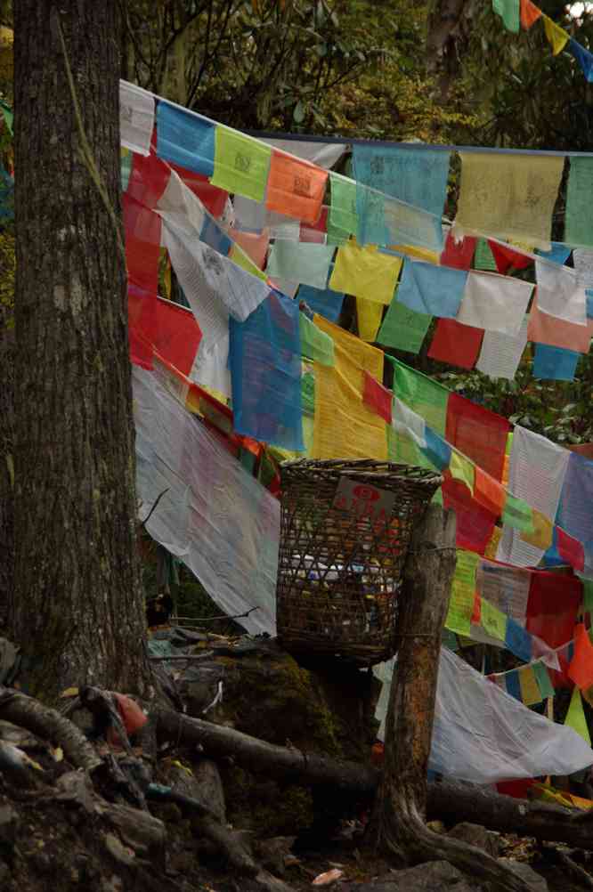 Forêt de drapeaux à prières à la hauteur de la poubelle n°9, le 23 octobre 2010