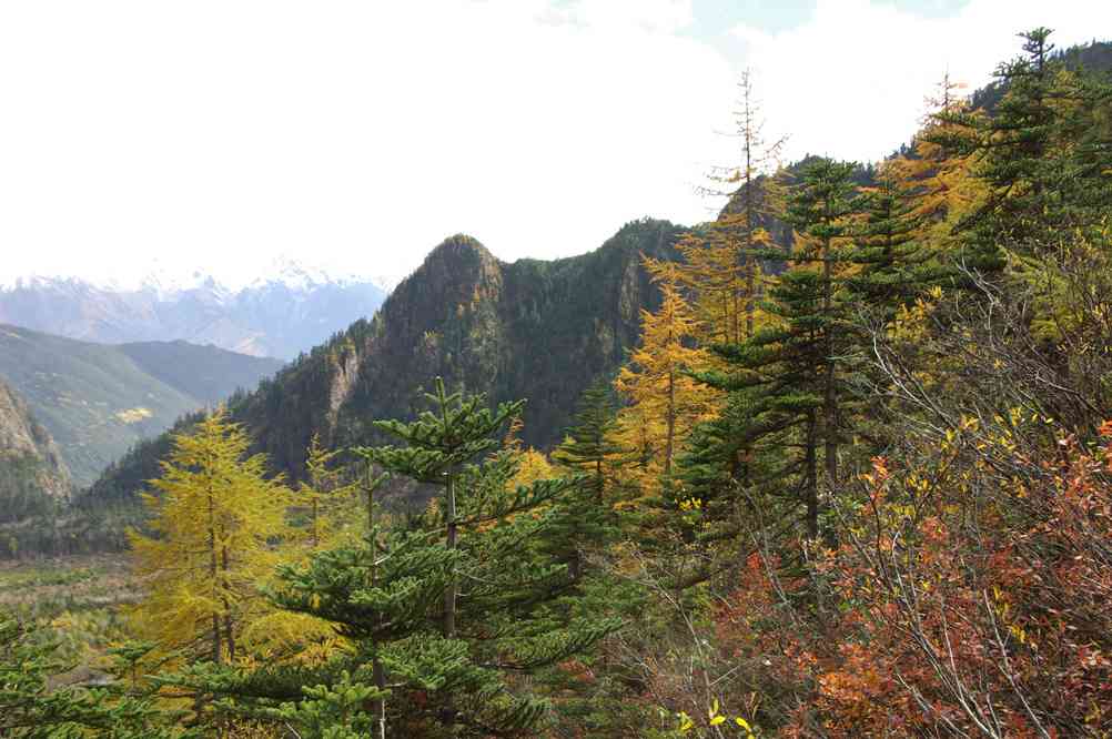 Montée en direction d’un lac glaciaire au pied du massif du Khawa Karpo (卡瓦格博), le 25 octobre 2010